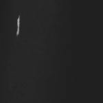 RAL 9004